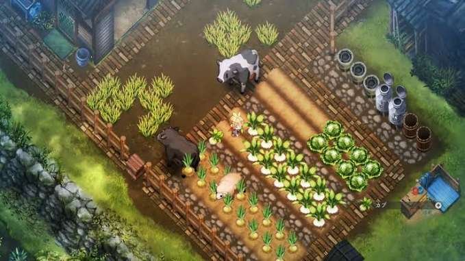 ほの暮しの庭を快適に進めるための実践