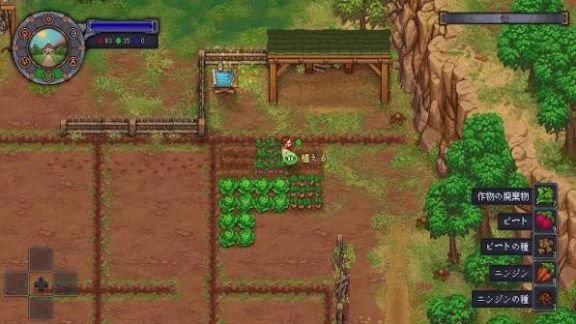 【完全攻略】グレイブヤードキーパー【Graveyard Keeper】