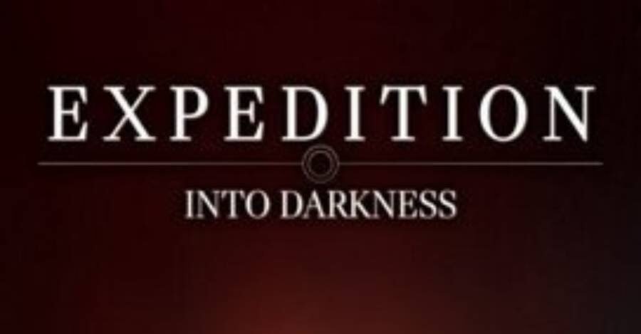 【遠征 闇の中へ】スキルの振り方と役割別の立ち回り【Expedition Into Darkness】