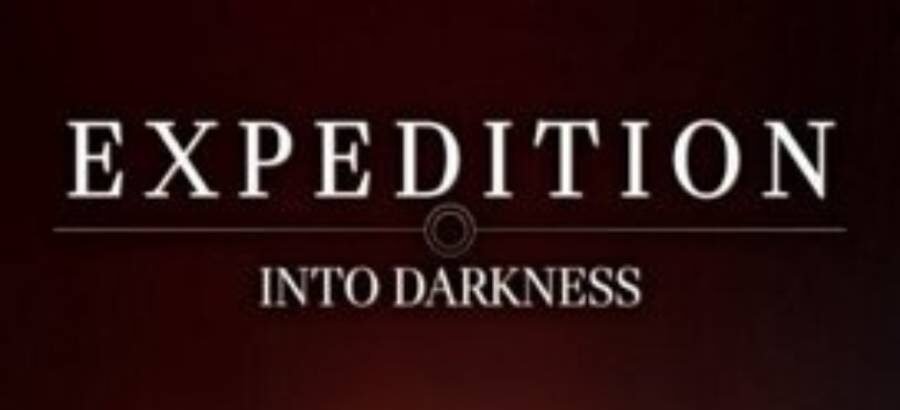 【遠征 闇の中へ】スキルの振り方と役割別の立ち回り【Expedition Into Darkness】