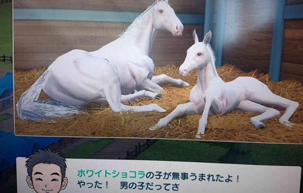 序盤は見事な配合より「走って稼ぐ馬」を優先する