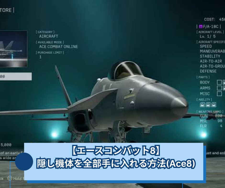 【エースコンバット8】隠し機体を全部手に入れる方法(Ace8)