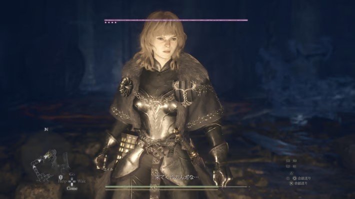 【ドラゴンズドグマ2】吹雪の中の目印を追う